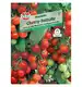 Pomidor 'Gourmelito' Nasiona PREMIUM Sperli