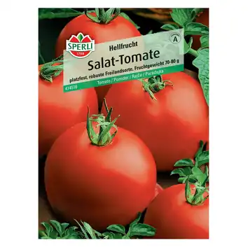 Pomidor 'Hellfrucht' Nasiona PREMIUM Sperli