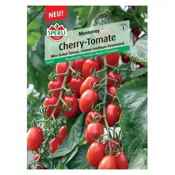 Pomidor 'Monterrey, F1' Nasiona PREMIUM Sperli