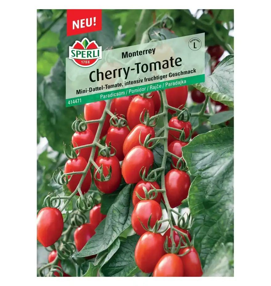 Pomidor 'Monterrey, F1' Nasiona PREMIUM Sperli