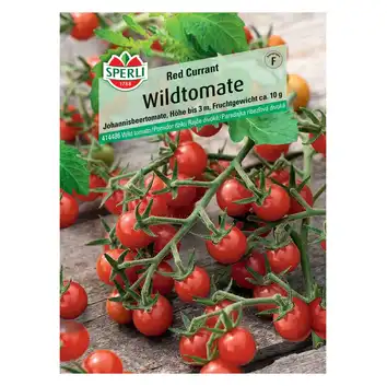 Pomidor dziki 'Red Currant' Nasiona PREMIUM Sperli