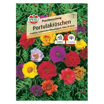 Portulaka wielokwiatowa 'Prachtmischung' Nasiona PREMIUM Sperli