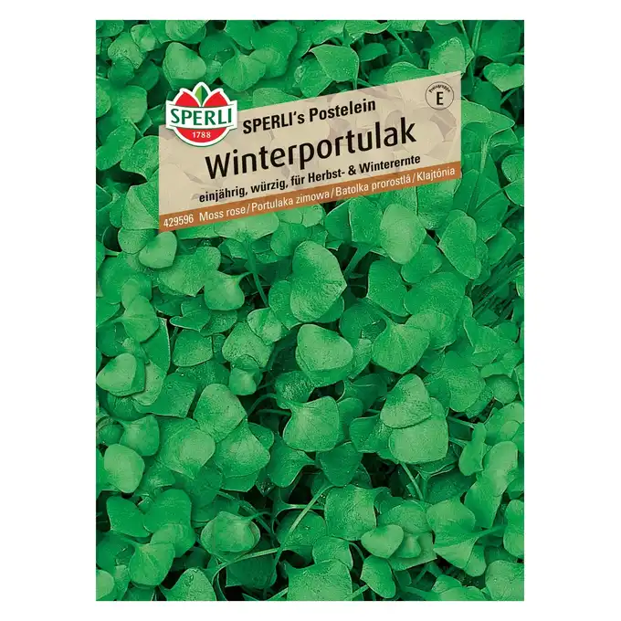 Portulaka zimowa 'SPERLI's Postelein' Nasiona PREMIUM Sperli
