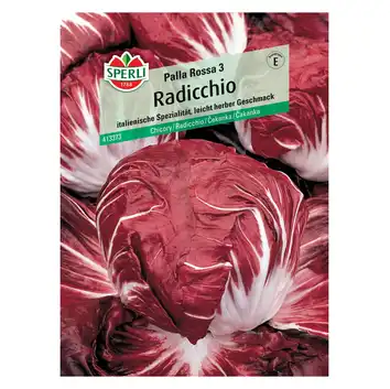 Radicchio 'Palla Rossa 3' Nasiona PREMIUM Sperli