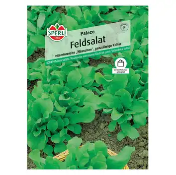 Roszponka warzywna 'Palace' Nasiona PREMIUM Sperli