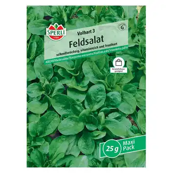 Roszponka warzywna 'Volhart 3' Nasiona PREMIUM Sperli