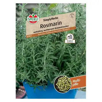 Rozmaryn 'SimplyHerbs' Nasiona PREMIUM Sperli