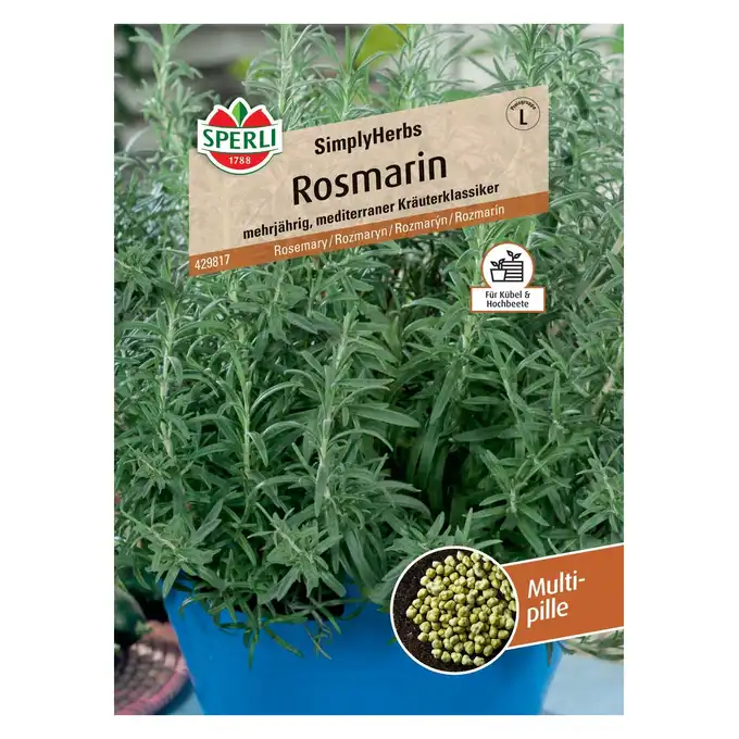 Rozmaryn 'SimplyHerbs' Nasiona PREMIUM Sperli