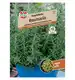 Rozmaryn 'SimplyHerbs' Nasiona PREMIUM Sperli