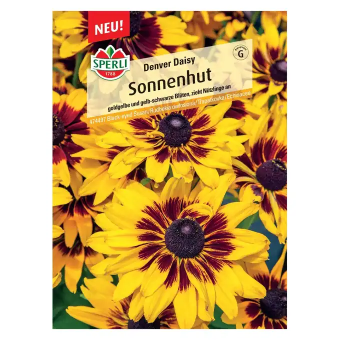 Rudbekia owłosiona 'Denver Daisy' Nasiona PREMIUM Sperli