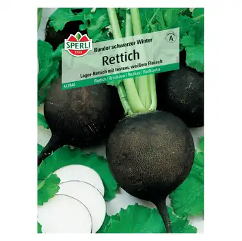 Rzodkiew 'Runder schwarzer Winter' Nasiona PREMIUM Sperli