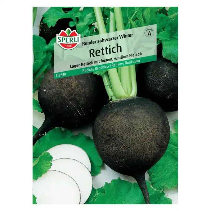 Rzodkiew 'Runder schwarzer Winter' Nasiona PREMIUM Sperli