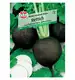 Rzodkiew 'Runder schwarzer Winter' Nasiona PREMIUM Sperli
