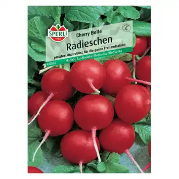 Rzodkiewka 'Cherry Belle' Nasiona PREMIUM Sperli