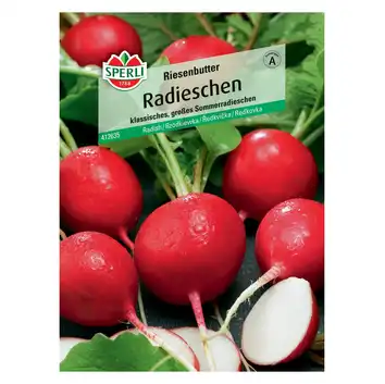 Rzodkiewka 'Riesenbutter' Nasiona PREMIUM Sperli