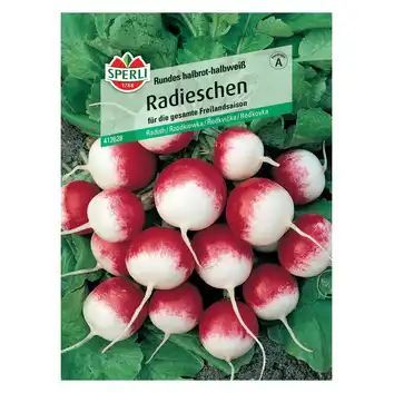 Rzodkiewka 'Rundes halbrot-halbweiß' Nasiona PREMIUM Sperli