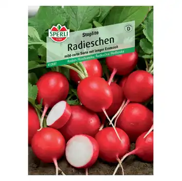 Rzodkiewka 'Stoplite' Nasiona PREMIUM Sperli