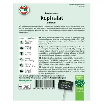 Sałata głowiasta 'Attraktion' Nasiona PREMIUM Sperli