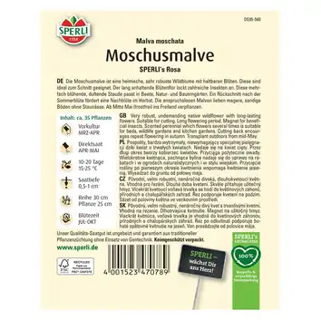 Ślaz piżmowy 'SPERLI's Rosa' Nasiona PREMIUM Sperli