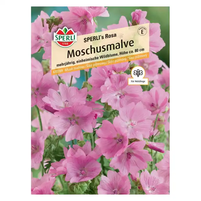 Ślaz piżmowy 'SPERLI's Rosa' Nasiona PREMIUM Sperli