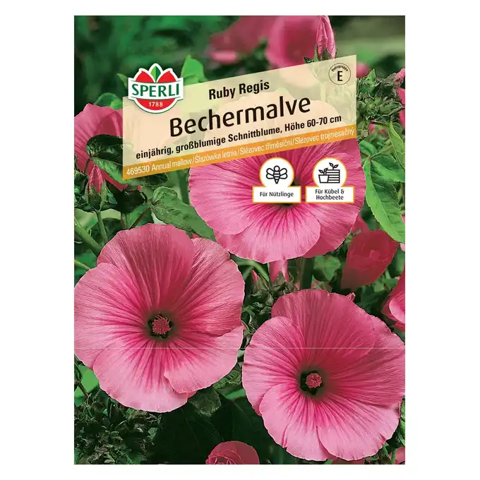 Ślazówka letnia 'Ruby Regis' Nasiona PREMIUM Sperli