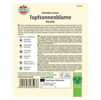 Słonecznik 'Big Smile' Nasiona PREMIUM Sperli