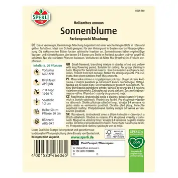Słonecznik 'Farbenpracht Mischung' Nasiona PREMIUM Sperli