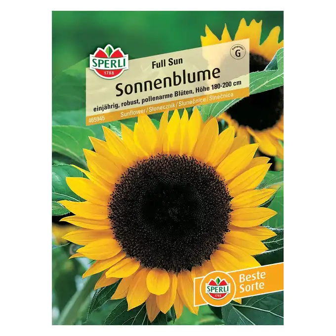 Słonecznik 'Full Sun' Nasiona PREMIUM Sperli