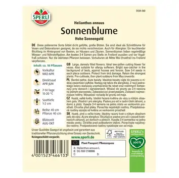 Słonecznik 'Hohe Sonnengold' Nasiona PREMIUM Sperli