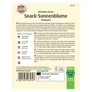 Słonecznik 'Peredovick' Nasiona PREMIUM Sperli