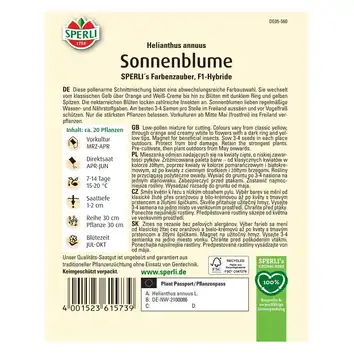 Słonecznik 'SPERLI's Farbenzauber' Nasiona PREMIUM Sperli
