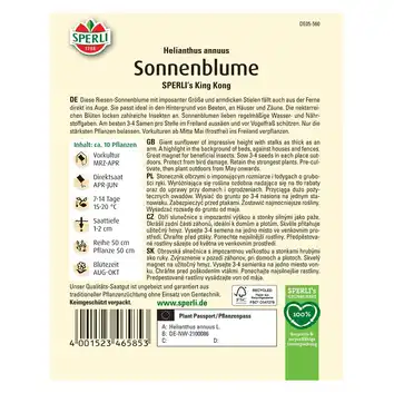 Słonecznik 'SPERLI's King Kong' Nasiona PREMIUM Sperli
