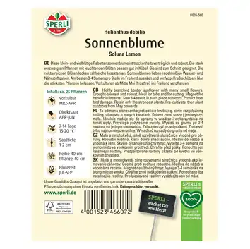 Słonecznik 'Soluna Lemon' Nasiona PREMIUM Sperli