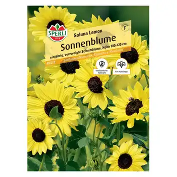 Słonecznik 'Soluna Lemon' Nasiona PREMIUM Sperli