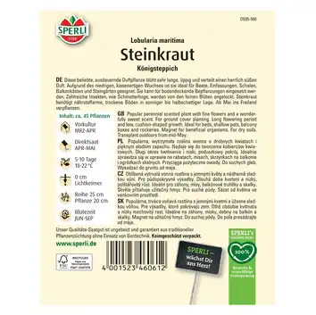 Smagliczka 'Königsteppich' Nasiona PREMIUM Sperli
