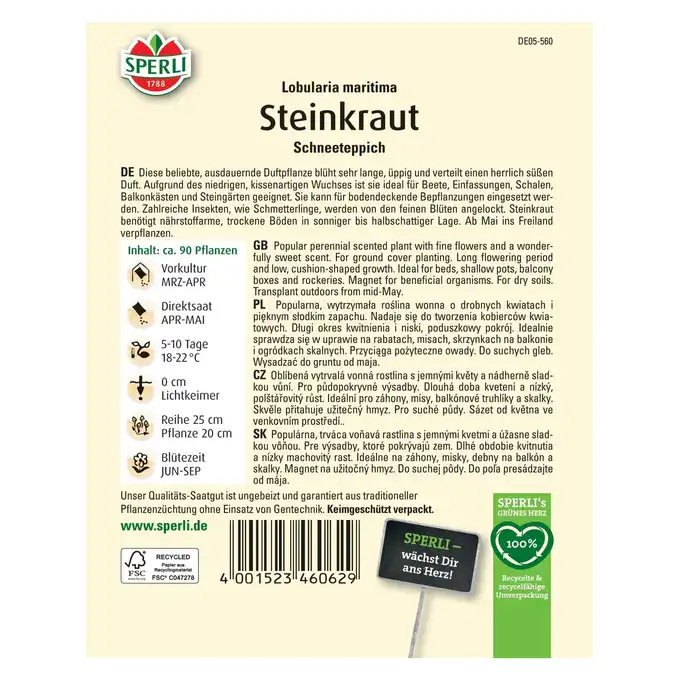 Smagliczka 'Schneeteppich' Nasiona PREMIUM Sperli