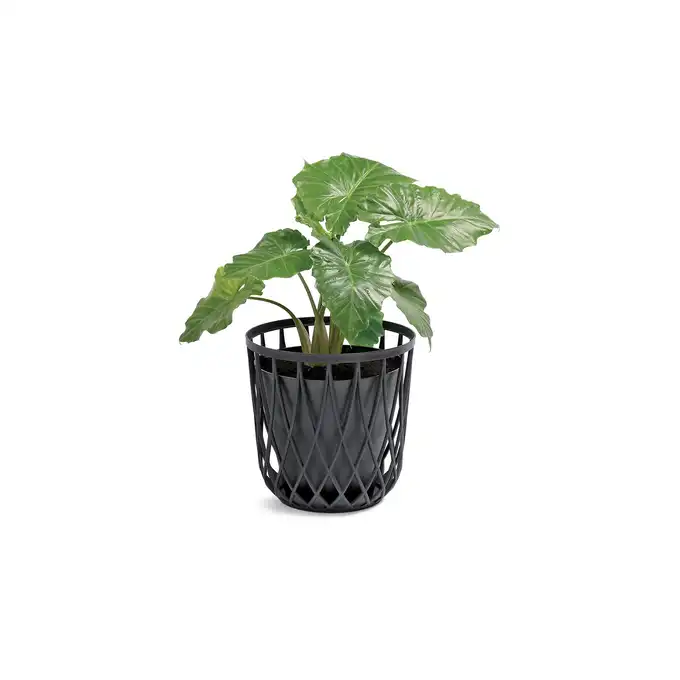 Stolik kawowy/ kosz 55L antracytowy