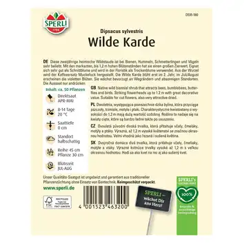 Szczeć pospolita 'Wilde Karde' Nasiona PREMIUM Sperli