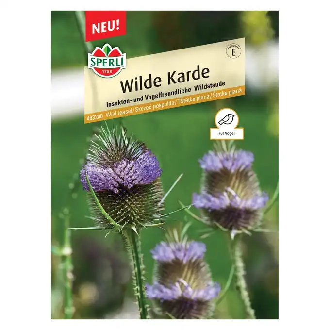 Szczeć pospolita 'Wilde Karde' Nasiona PREMIUM Sperli