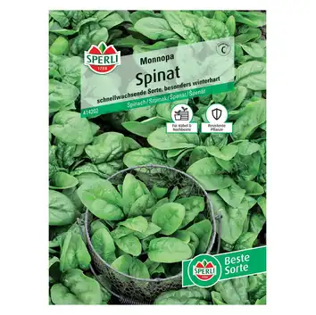 Szpinak 'Monnopa' Nasiona PREMIUM Sperli