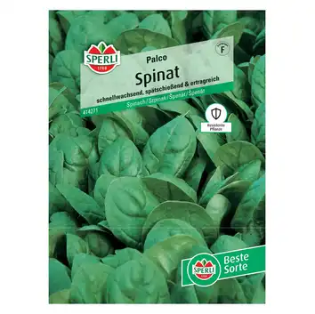 Szpinak 'Palco' Nasiona PREMIUM Sperli