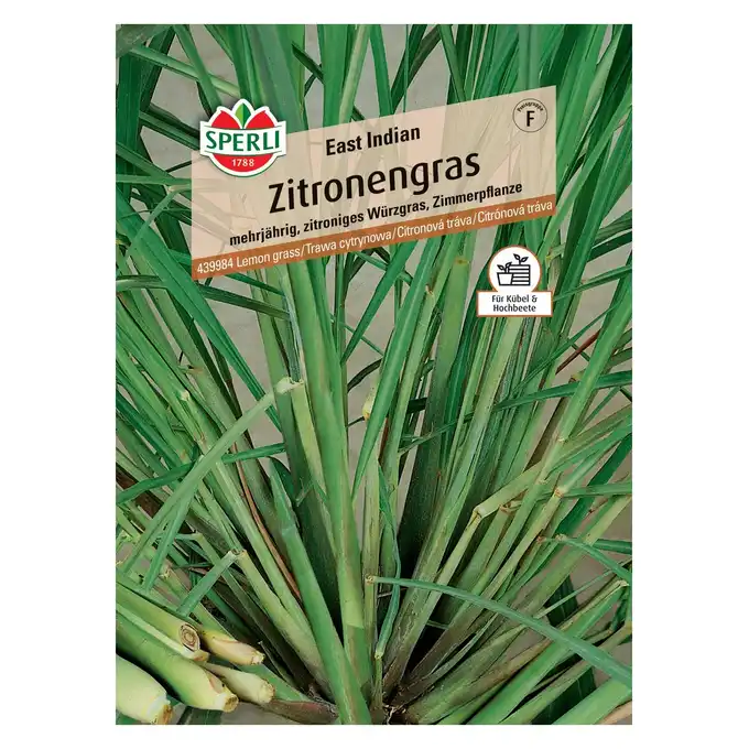 Trawa cytrynowa 'East Indian' Nasiona PREMIUM Sperli