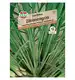 Trawa cytrynowa 'East Indian' Nasiona PREMIUM Sperli