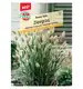 Trawa ozdobna 'Bunny Tails' Nasiona PREMIUM Sperli