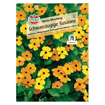 Tunbergia oskrzydlona 'Helios Mischung' Nasiona PREMIUM Sperli