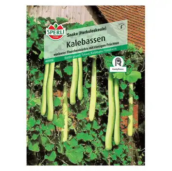 Tykwa 'Snake (Herkuleskeule)' Nasiona PREMIUM Sperli