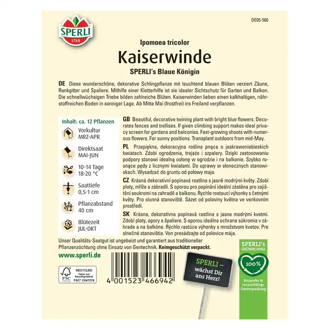 Wilec trójbarwny 'SPERLI's Blaue Königin' Nasiona PREMIUM Sperli