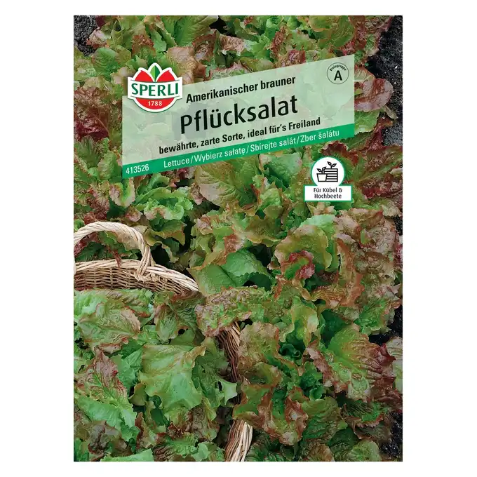 Wybierz sałatę 'Amerikanischer brauner' Nasiona PREMIUM Sperli