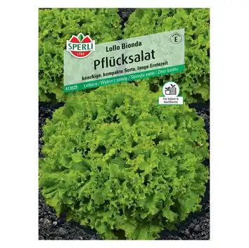 Wybierz sałatę 'Lollo Bionda' Nasiona PREMIUM Sperli