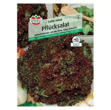 Wybierz sałatę 'Lollo rossa' Nasiona PREMIUM Sperli